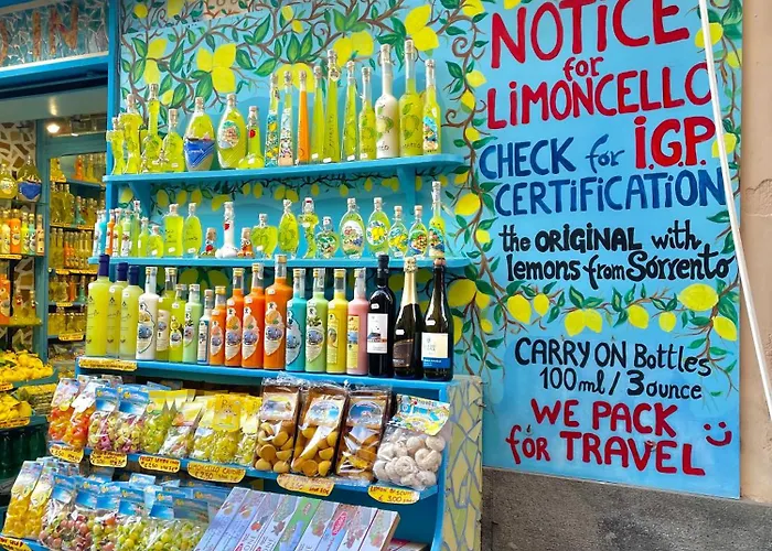 度假居 Old Town 索伦托